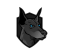 Axl Inu