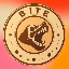 BITE