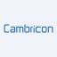 Cambricon Technologies Corp Ltd (Derivatives)