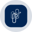 Capricor Therapeutics Tokenized Stock (Ondo)