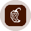 Chipotle Tokenized Stock (Ondo)