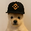 PUP